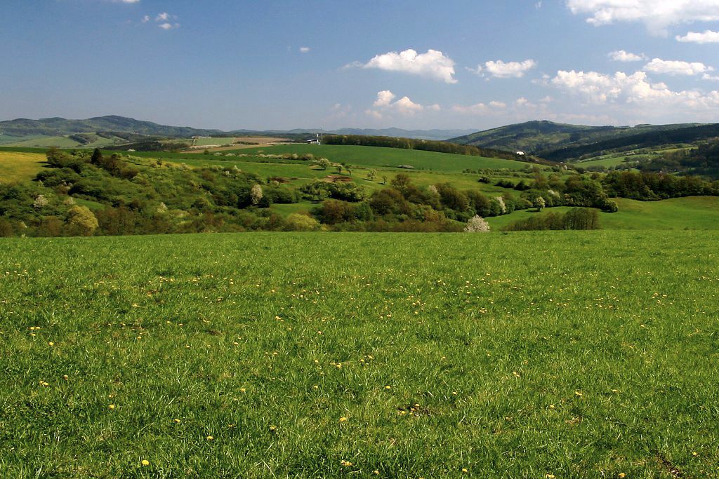 Prodej, RD 5+1 Polichno, 200 m2